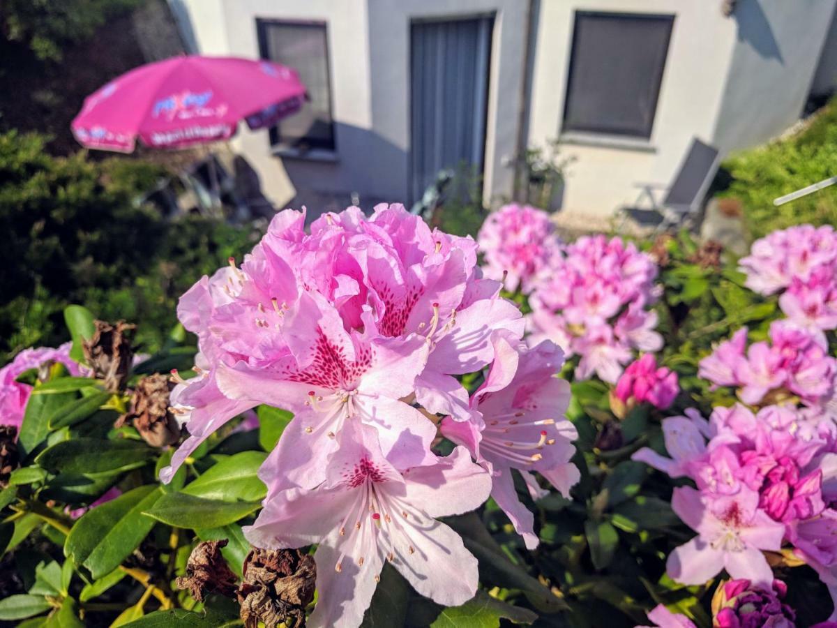 גרימה Ferienwohnung Mit Terrasse מראה חיצוני תמונה